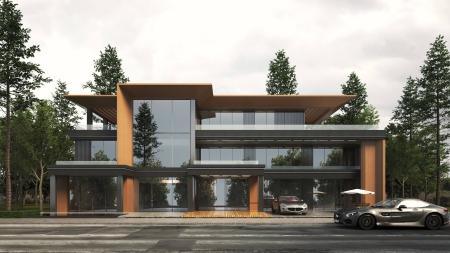 Modern Detached House Villa 3ds max vray exterior 