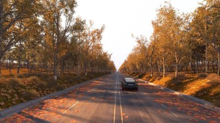 Modern Road Forest Highway 3ds max vray exterior s